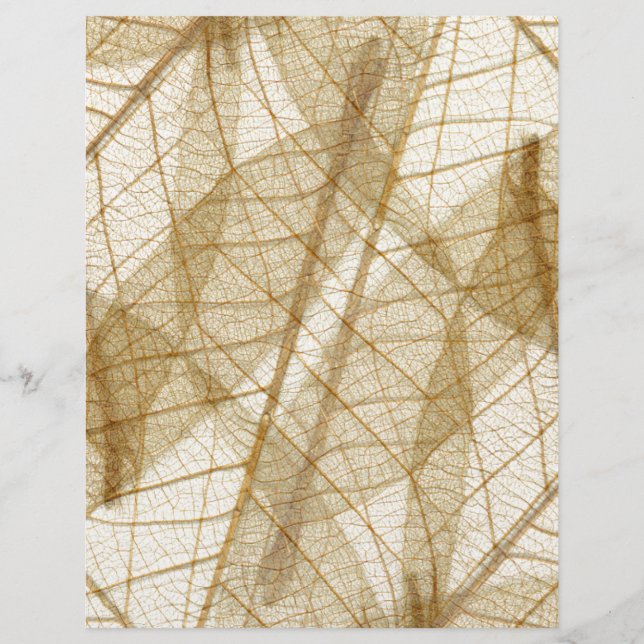 Sheer Cream Beige Lace Blätter (Vorderseite)