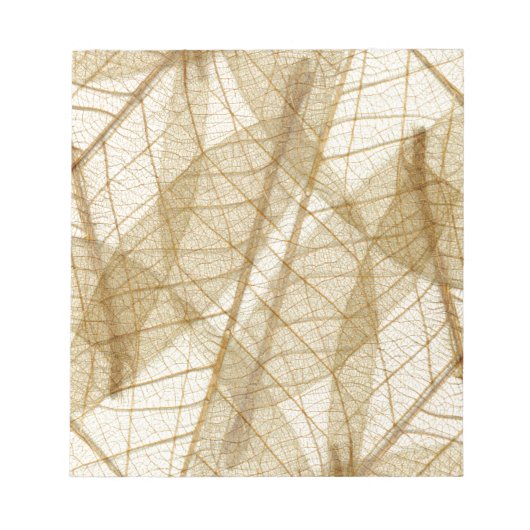 Sheer Cream Beige Lace Blätter Notizblock (Vorderseite)