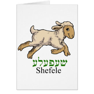 "Shefeleh" - kleines Lamm