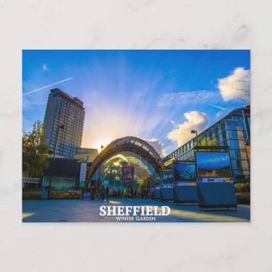 Sheffield Winter Garden Postkarte (Vorderseite)