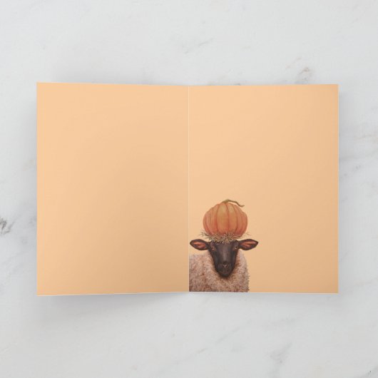 Sheila-Karte Karte (Innenseite)