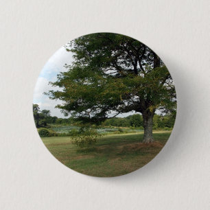 Shelby-Betriebe Button