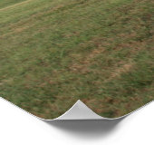 Shelby-Betriebe Poster (Ecke)