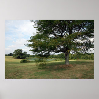 Shelby-Betriebe Poster