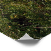 Shelby-Betriebe Poster (Ecke)