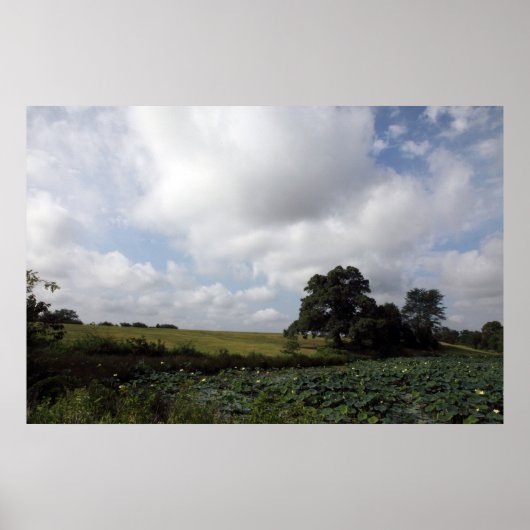 Shelby-Betriebe Poster (Vorne)