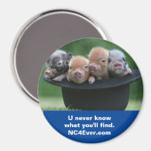 Shelby NC-Magnet Magnet (Vorderseite/Rückseite)