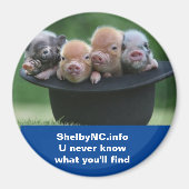 Shelby NC-Magnet Magnet (Vorne)