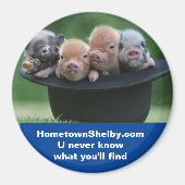 Shelby NC-Magnet Magnet (Vorne)