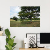 Shelby Poster (Heimbüro)