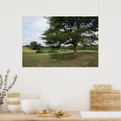 Shelby Poster (Küche)