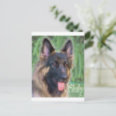 Shelby Postkarte (Stehend Vorderseite)