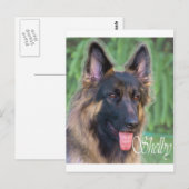 Shelby Postkarte (Vorne/Hinten)