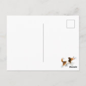 Sheldon der Sheltie Postkarte (Rückseite)