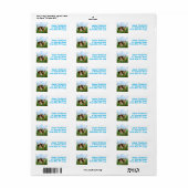 Sheldon die Sheltie (Vorne)