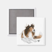 Sheldon die Sheltie Magnet (Vorderseite/Rückseite)