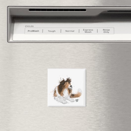 Sheldon die Sheltie Magnet (In Situ (Geschirrspüler))