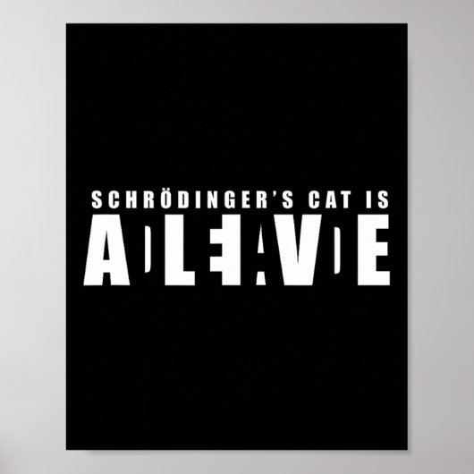 Sheldon Schroedingers Katze - tot und lebendig Poster (Vorne)