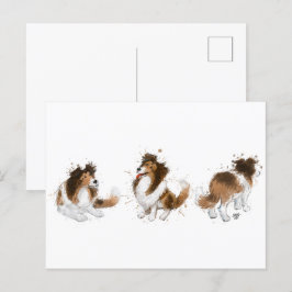 Sheldon the Sheltie Drei Posen Postkarte