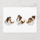 Sheldon the Sheltie Drei Posen Postkarte (Vorderseite)