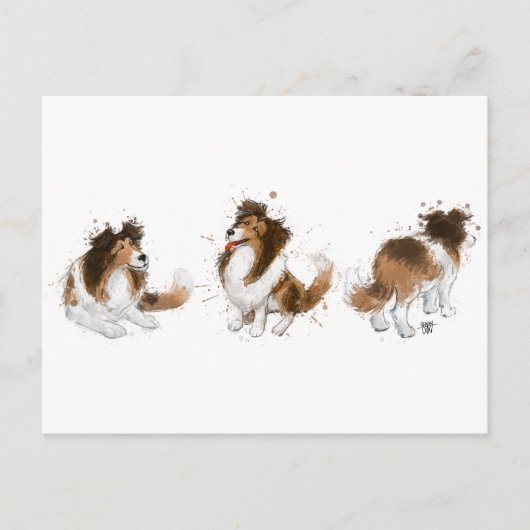 Sheldon the Sheltie Drei Posen Postkarte (Vorderseite)