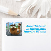 Sheldon und Davie Relaxing (Insitu)