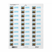 Sheldon und Davie Relaxing (Vorne)