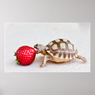 Sheldon und die Erdbeere Poster