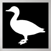 Sheldrake Duck Poster (Vorne)