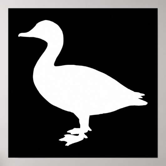 Sheldrake Duck Poster (Vorne)