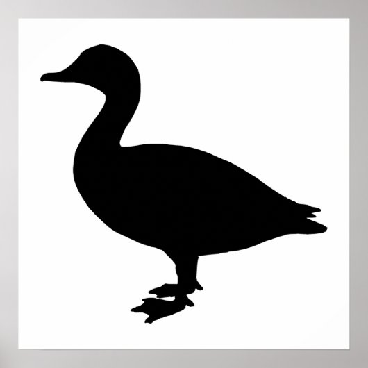 Sheldrake Duck Poster (Vorne)
