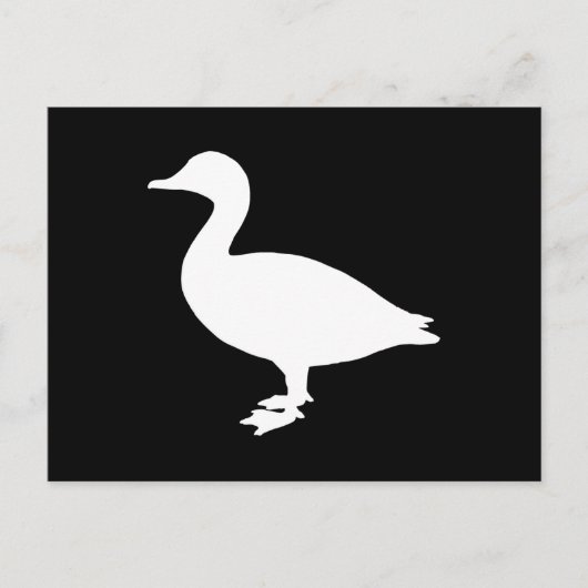 Sheldrake Duck Postkarte (Vorderseite)