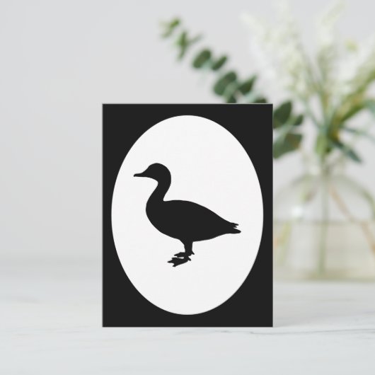 Sheldrake Duck Postkarte (Stehend Vorderseite)