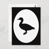 Sheldrake Duck Postkarte (Vorne/Hinten)