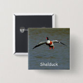 Shelduck Button (Vorne & Hinten)