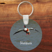 Shelduck Schlüsselanhänger (Vorderseite)