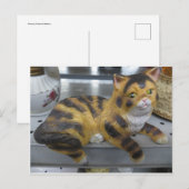 Shelf Cat Postkarte (Vorne/Hinten)