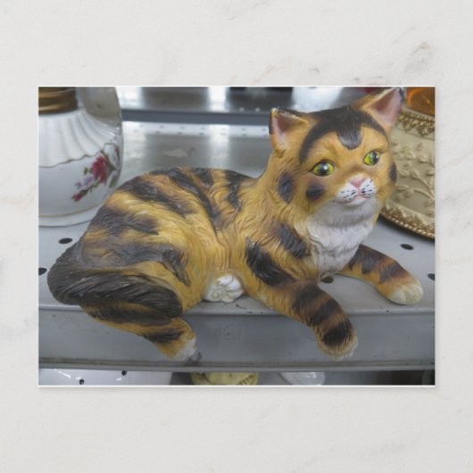 Shelf Cat Postkarte (Vorderseite)