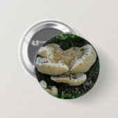 Shelf Fungi auf Stump Button (Vorne & Hinten)