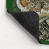 Shelf Fungi auf Stump Mousepad (Ecke)