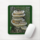 Shelf Fungi auf Stump Mousepad (Mit Mouse)
