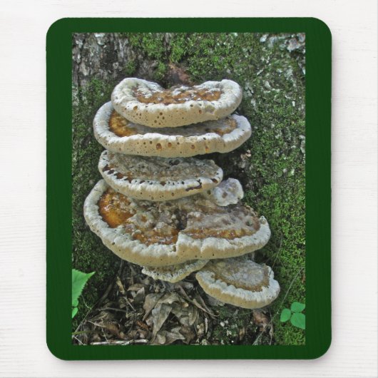 Shelf Fungi auf Stump Mousepad (Vorne)