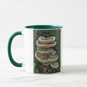 Shelf Fungi auf Stump Tasse