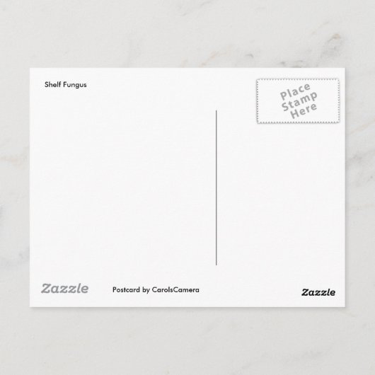 Shelf Fungus auf Stumpf Postkarte (Rückseite)