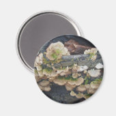 Shelf Fungus Colony Magnet (Vorderseite/Rückseite)