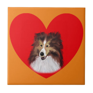 Shelitie, Collie Kitchen Tile. Fliese
