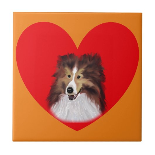 Shelitie, Collie Kitchen Tile. Fliese (Vorderseite)