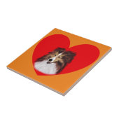 Shelitie, Collie Kitchen Tile. Fliese (Seite)