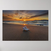 Shell At The Beach At Sunset | Kos Island Poster (Vorne)