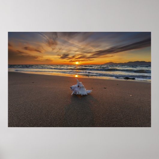 Shell At The Beach At Sunset | Kos Island Poster (Vorne)